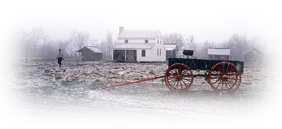 Historical Wagon