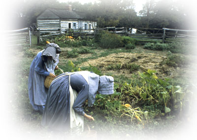 Ladies working on the Lincoln Farm